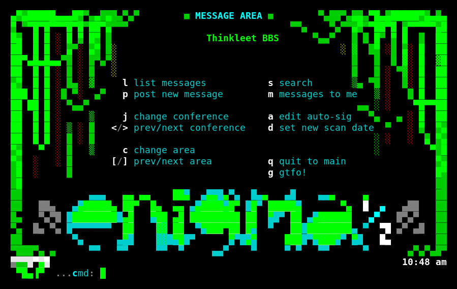 Thinkleet BBS message area menu with green ANSI vine border art and ENiGMA logo